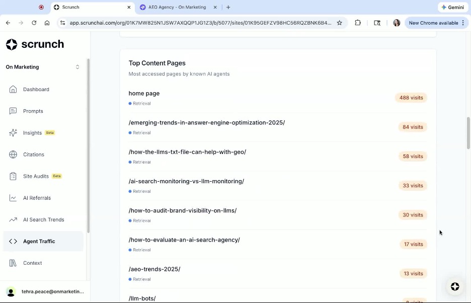 List of top content pages in Scrunch Agent Traffic